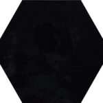 Shiny black