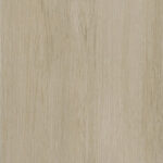 Acacia ceniza