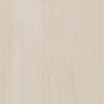 Acacia white